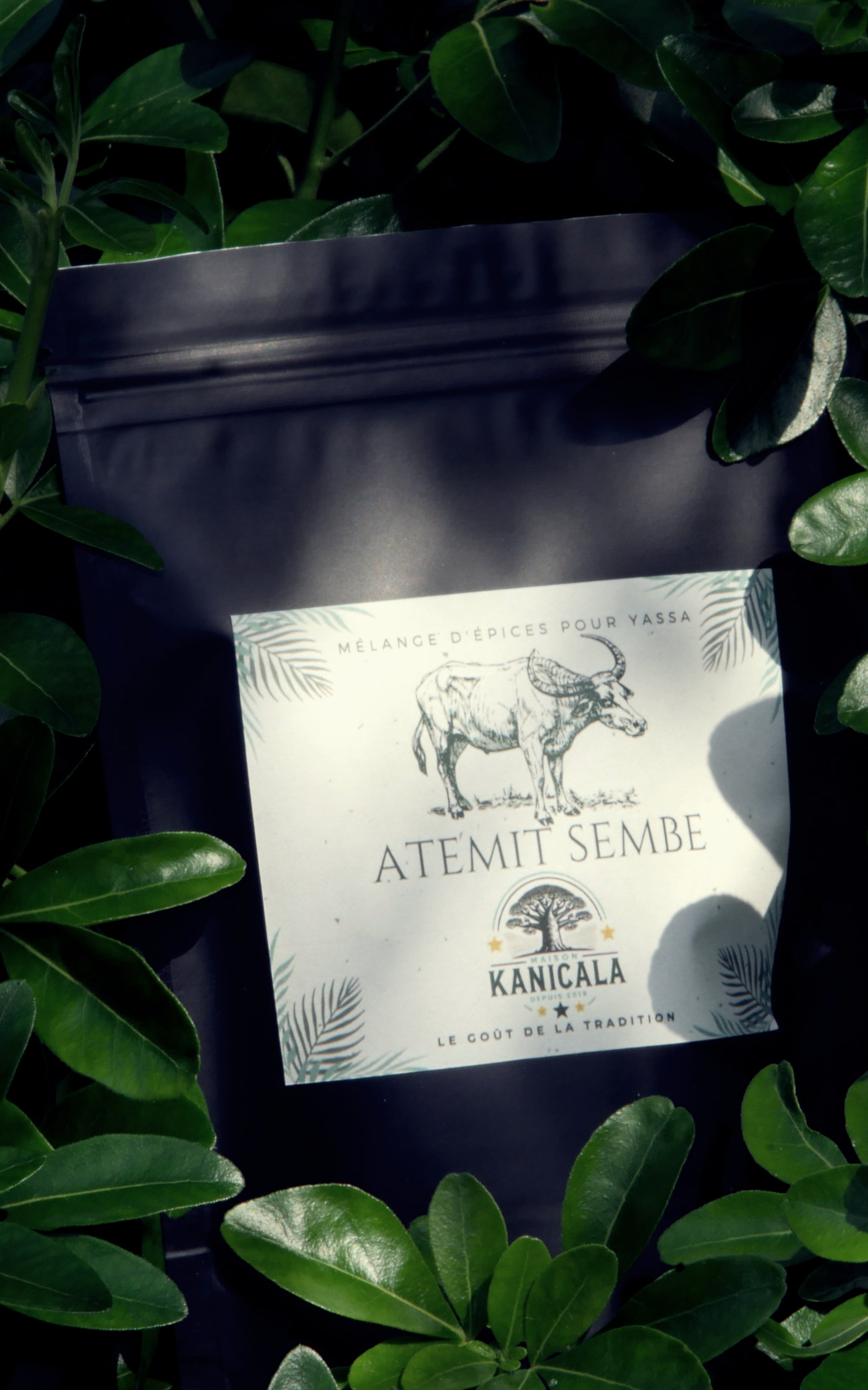 Mélange d'épices pour Yassa 'ATEMIT SEMBE'