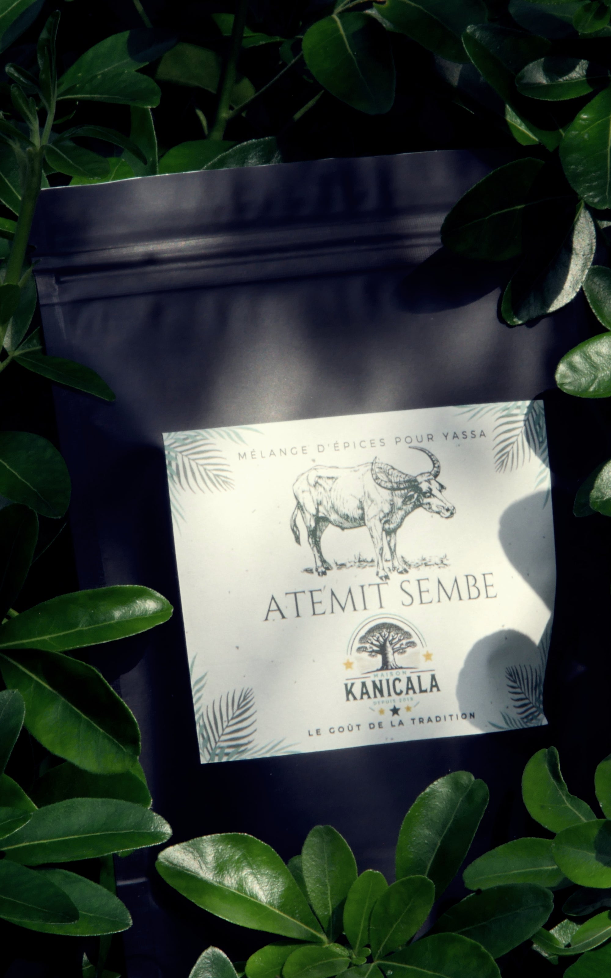 Mélange d'épices pour Yassa 'ATEMIT SEMBE'
